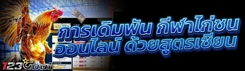 การเดิมพัน กีฬาไก่ชนออนไลน์ ด้วยสูตรเซียน
